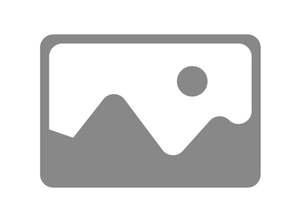 Dag van de vrijwilliger 2022